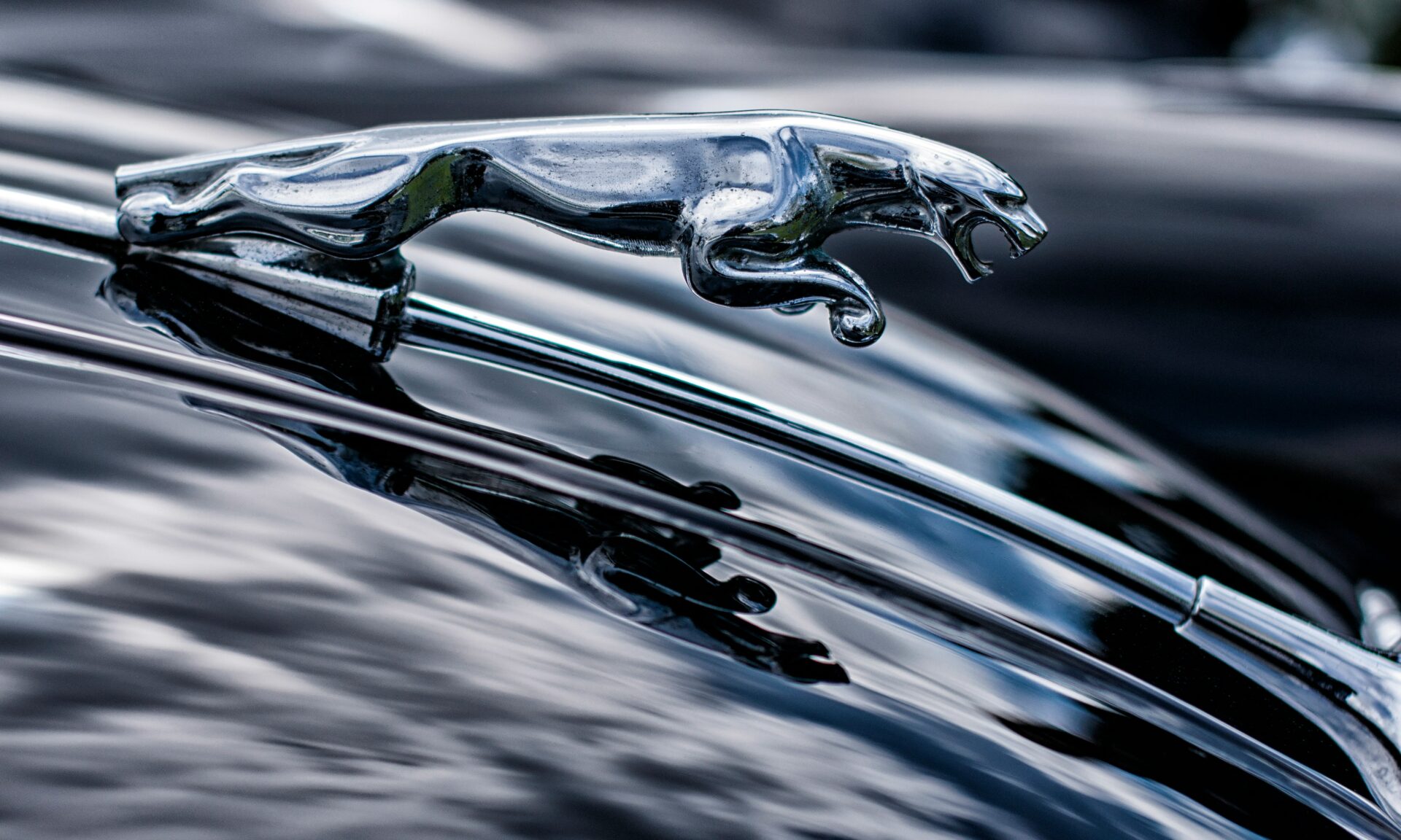 Jaguar’s Rebrand: Bold Move or Historic Misstep?